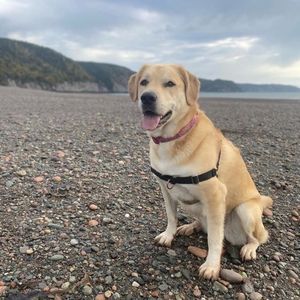 Meet your Posher, Corey